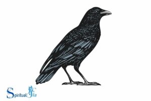 What Do Crows Represent Spiritually: Adaptability!