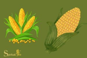 what does corn represent spiritually