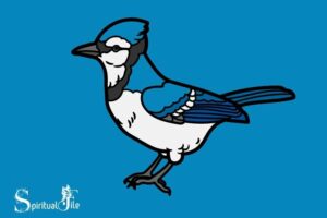 what do blue jays represent spiritually