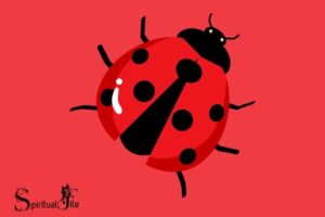 What Do Ladybugs Represent Spiritually: Love!