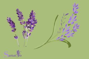 what does lavender represent spiritually