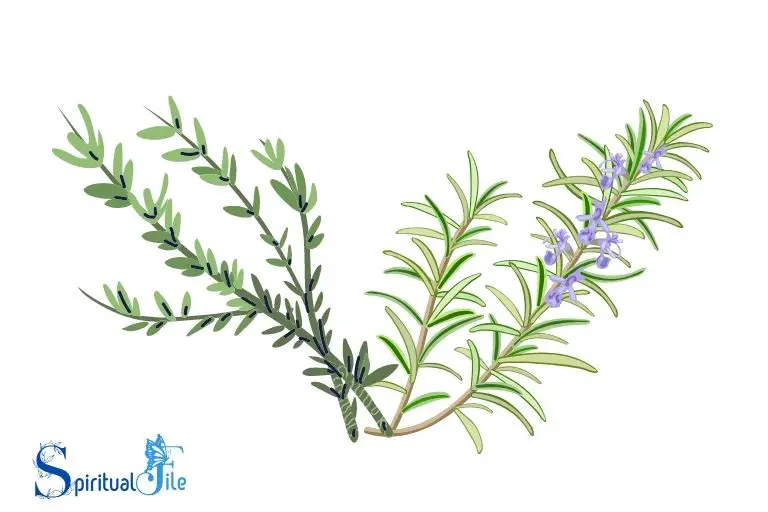 what does rosemary represent spiritually