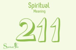 what does the number 211 mean spiritually