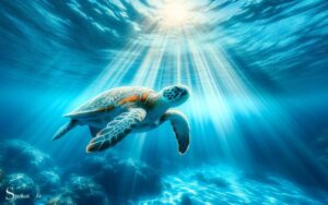 What Do Turtles Symbolize Spiritually