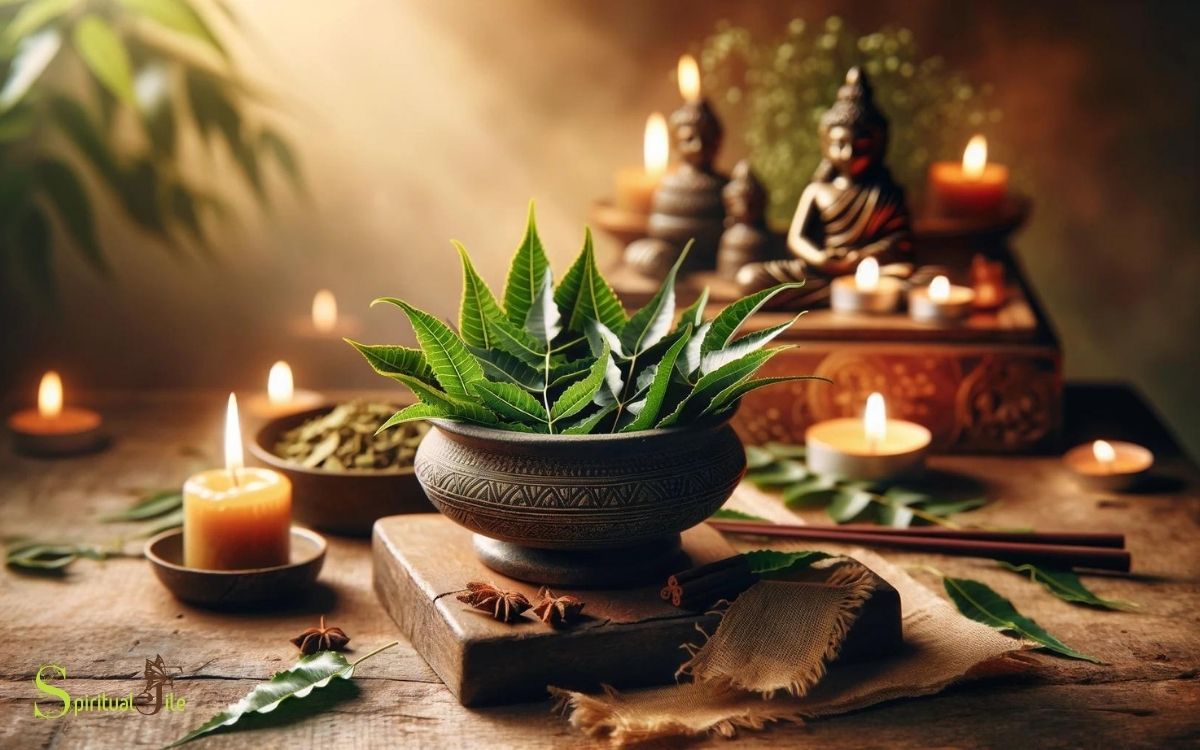 Spiritual Uses of Neem Leaves
